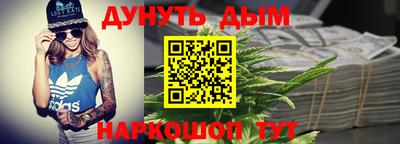 гидра Заводоуковск