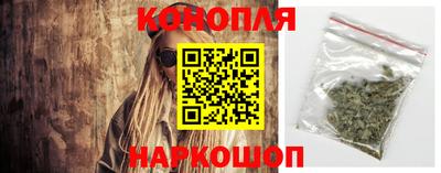 гидра Заводоуковск