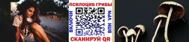 Галлюциногенные грибы Psilocybe MEGA маркетплейс Новоалександровск как найти